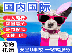徐州机场快递国际宠物托运 【国